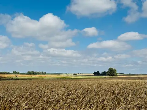 Venta de Campo Agrícola en Soriano