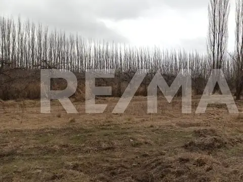 VENTA DE HECTAREAS - FRENTE RUTA 7 - VISTA ALEGRE