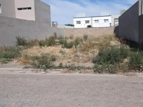 VENTA LOTE RINCON LINDO II - Lago Espejo
