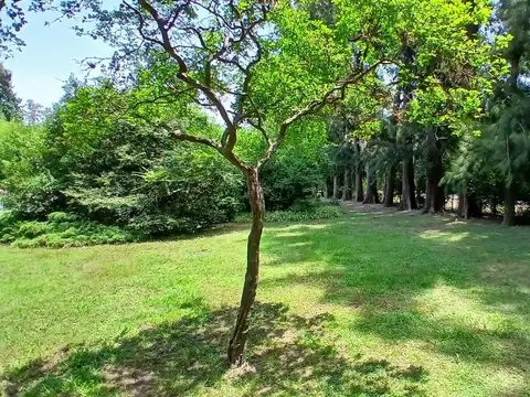 Casa Quinta en venta.