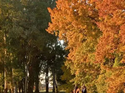 Terreno en Venta 23  mts Frente