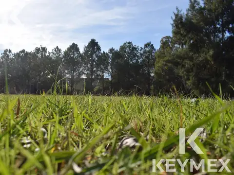 Miralagos Ruta 2 km 65