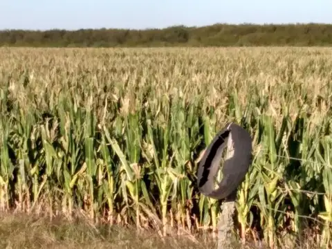 Venta Campo Agrícola