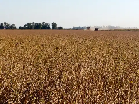 Pacifico Otero y ruta AO12