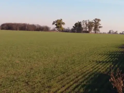 Pacifico Otero y ruta AO12