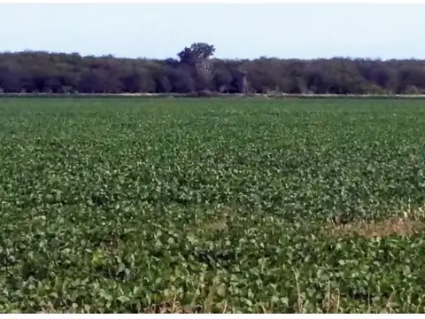 Pacifico Otero y ruta AO12