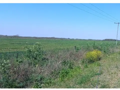 Pacifico Otero y ruta AO12