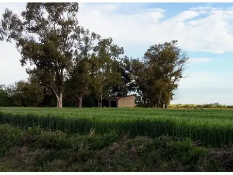 Venta Campo Agrícola