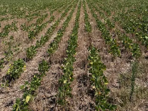 Terreno en Venta de 57000,0 m2