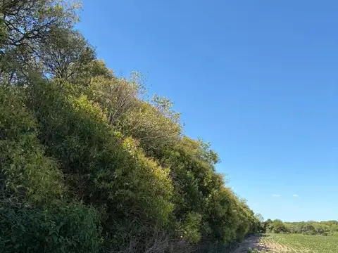 Arroyo Seco