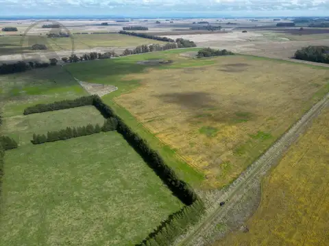 Campo agricola en Venta en Mar chiquita | 40 hectareas