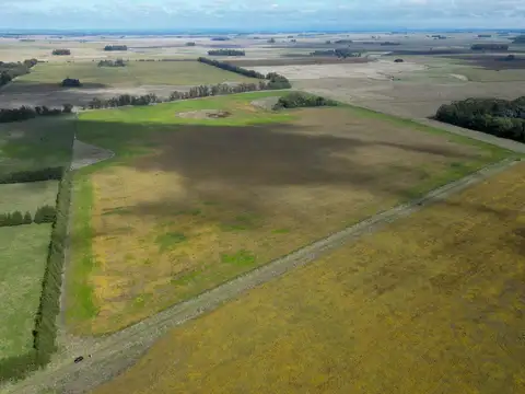 Campo agricola en Venta en Mar chiquita | 40 hectareas