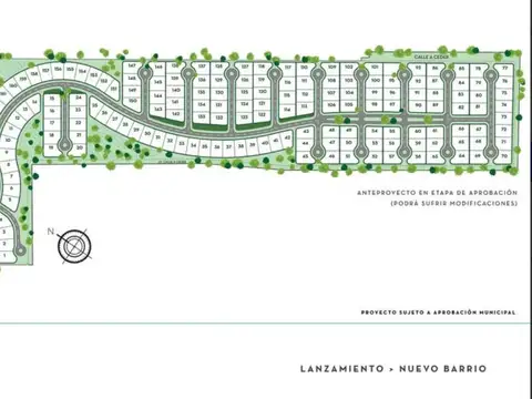 barrio la estela pilar 100