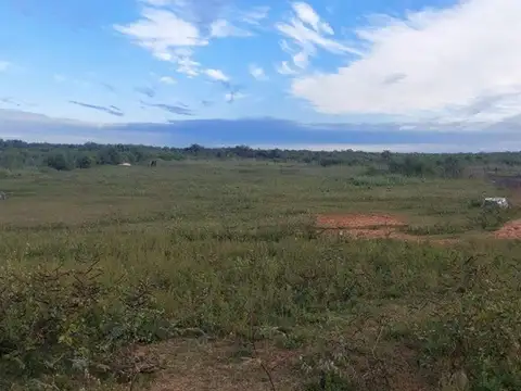 CAMPO GANADERO/ AGRICO 160  HECTÁREAS BELLA VISTA CORRIENTES