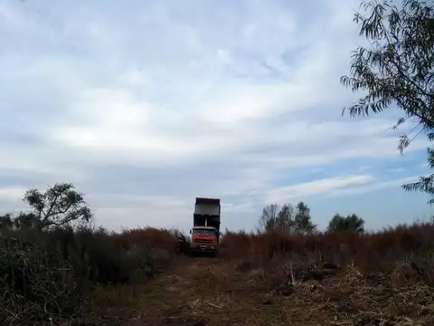 Campo en Venta de 14  ha