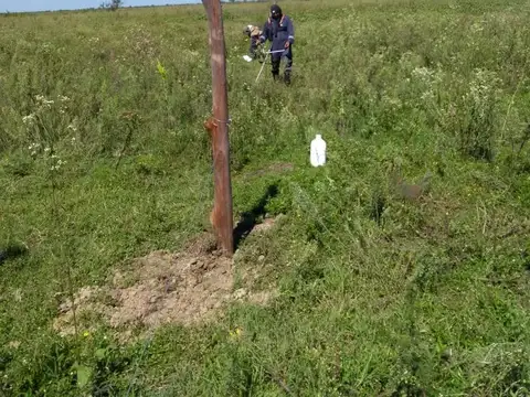 Campo en Venta con Alambrado