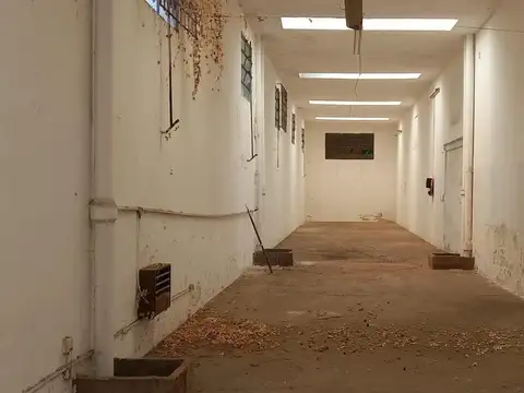 GALPÓN EN VENTA - Esteban de Luca 631