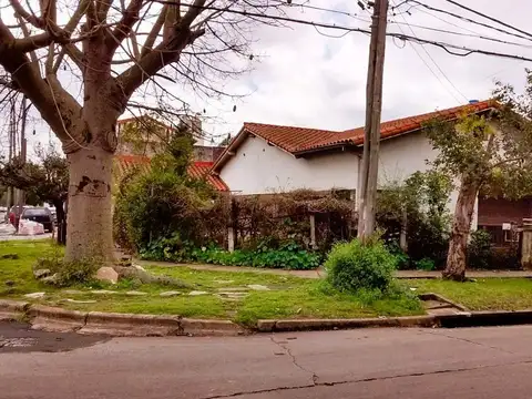 Constitucion 300