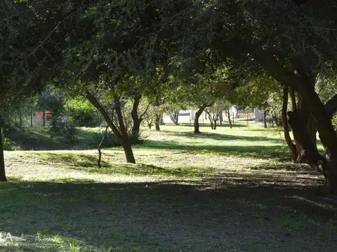 Terreno en Venta de 1000,0 m2