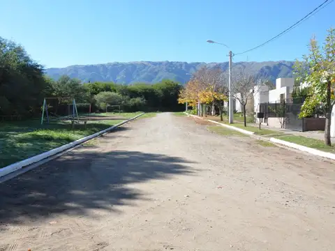 Santa Rita 975