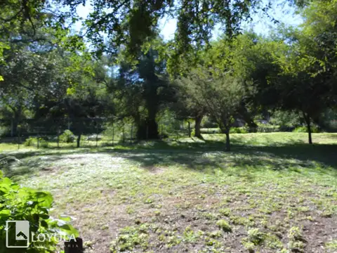 Lote en venta Carpinteria San Luis