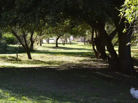Santa Rita 975