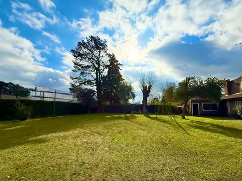 Lucio Mansilla 100