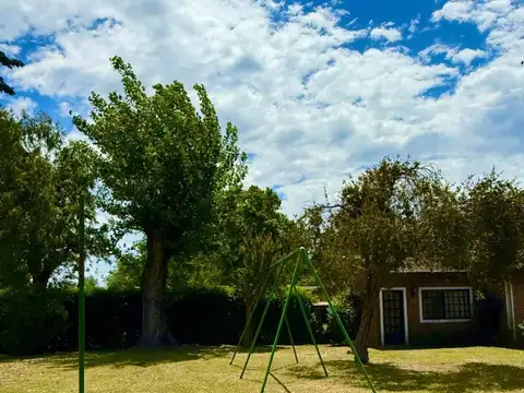 Lucio Mansilla 100