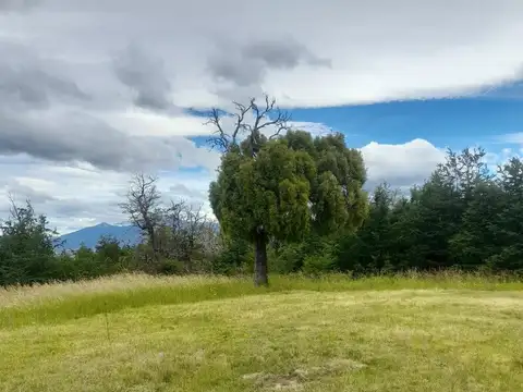 Terreno en Venta de 40000,0 m2