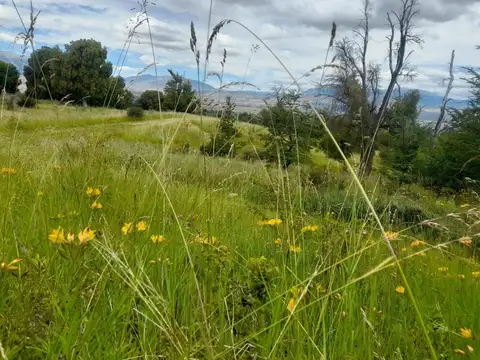 Terreno en Venta de 40000,0 m2