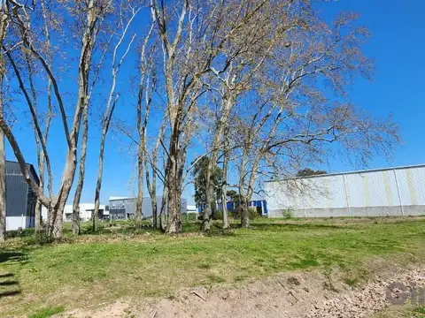 Terreno en Venta 45  mts Frente