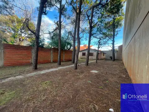 mendoza 4150 100