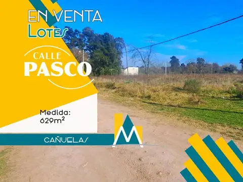 Lote - Terrenos en venta en Cañuelas