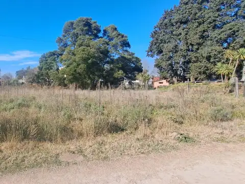 Lote - Terrenos en venta en Cañuelas