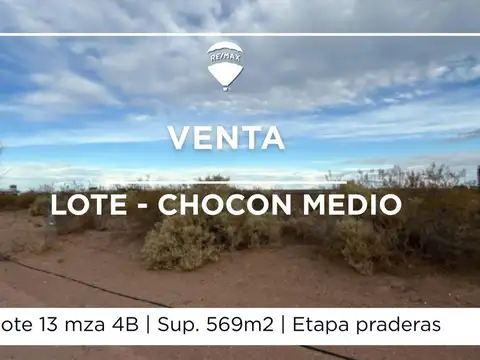LOTE EN VENTA CHOCON MEDIO