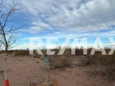 LOTE EN VENTA CHOCON MEDIO