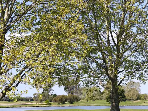 Venta de Lote interno en Pilar Golf Club Country