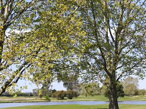Venta de Lote interno en Pilar Golf Club Country