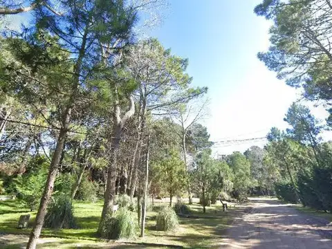 Albatros e/ Vega y Punta del Indio