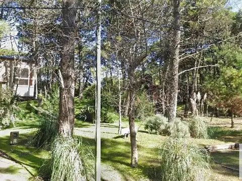 Albatros e/ Vega y Punta del Indio