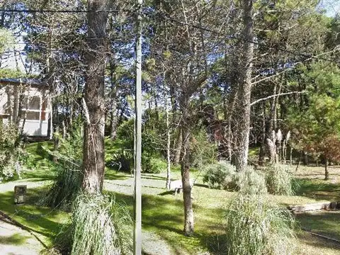 Albatros e/ Vega y Punta del Indio