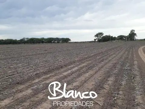 WINIFREDA - LA PAMPA -