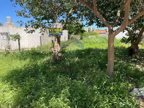 LOTE EN POZO DEL MOLLE