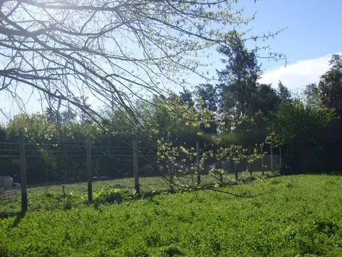 Tuyucue e/ Mitre y Zenavilla