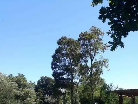 Campo en Venta Ganadero