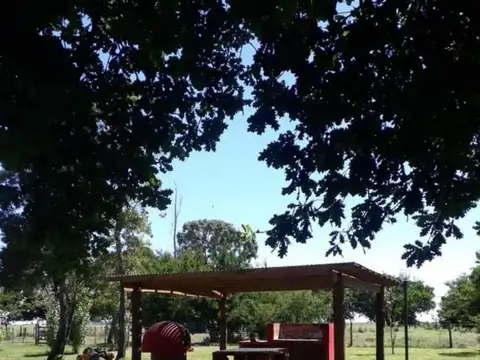 Campo en Venta de 825  ha