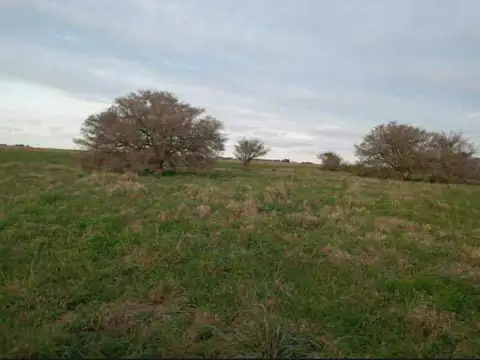 Venta campo General Madariaga