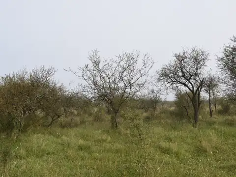 Terreno en Venta 10  mts Frente