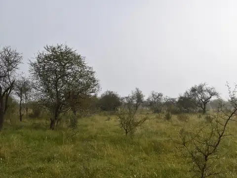 Terreno en Venta en Federal, USD 475.000