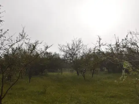 Terreno en Venta de 95000,0 m2